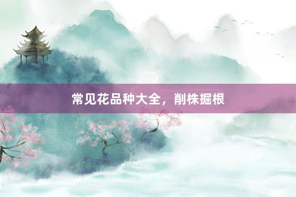 常见花品种大全，削株掘根