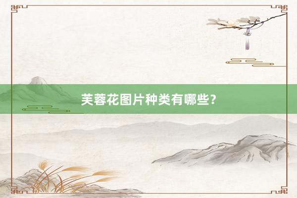 芙蓉花图片种类有哪些？