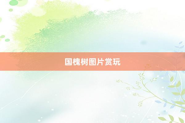 国槐树图片赏玩