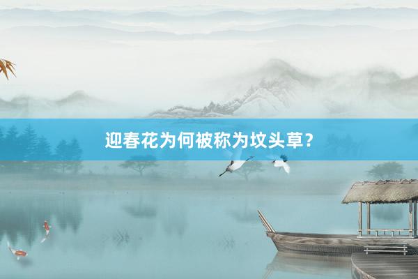 迎春花为何被称为坟头草？