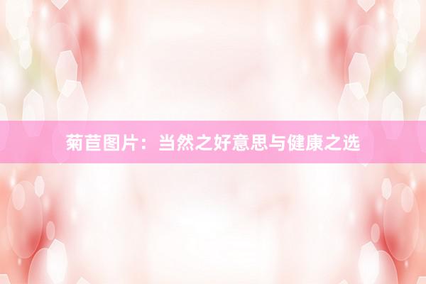 菊苣图片：当然之好意思与健康之选
