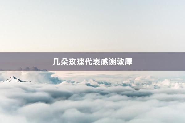 几朵玫瑰代表感谢敦厚