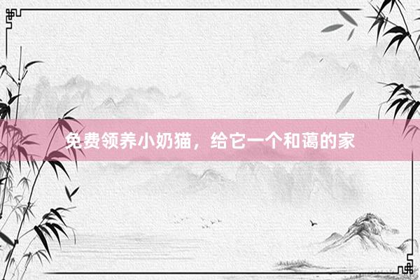 免费领养小奶猫，给它一个和蔼的家