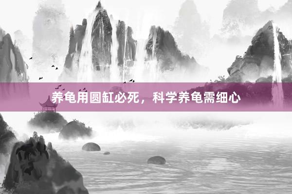 养龟用圆缸必死，科学养龟需细心
